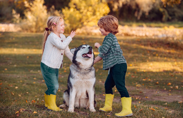 Naklejka na ściany i meble Smiling little kids with dog walking over autumn field background. Children lovingly embraces his pet dog. Childhood memories.