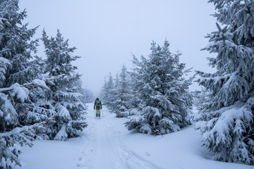Obraz premium skialpinist riding down the mountain in poor visibility in the fog in winter