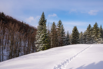 Fototapeta na wymiar meadow in mountains in background forest with ridge covered by snow in winter, slovakia mala fatra