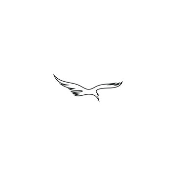 recommend clip art: bird leaf logo vector icon template download line art outline
