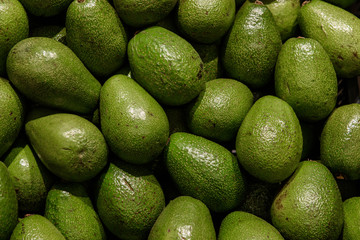Avocado, Persea americana at box in supermarket.