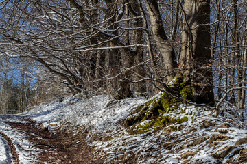 Kälteeinbruch am Kornbergsattel bei Gruibingen