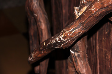 Imitation of tree roots. Fantasy background. Tree bark