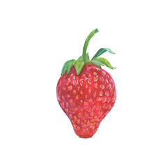 Ripe strawberry isolated on white background. Hand painted watercolor berry illustration.
