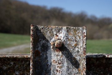 Rostiges Metalgeländer