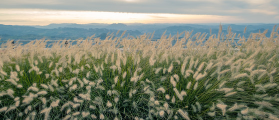 Grass and blue-tinged mountains:  Italy from San Marino