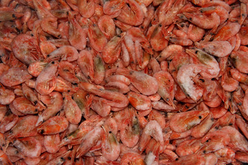 Frozen prawns. Seafood. Raw shrimp. Lots of seafood