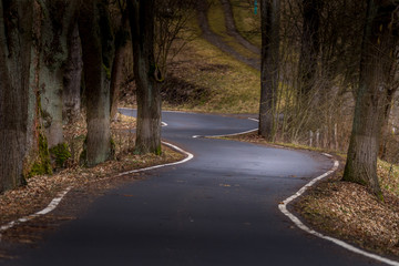 Winding road