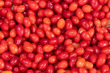 Red fresh cranberries