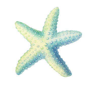 recommend clip art: Illustrations of underwater life objects - blue sea starfish, marine design. Watercolor hand drawn painting illustration isolated on white background.