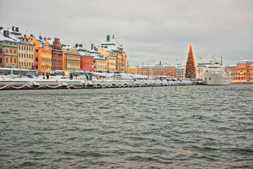 Waterfront of the Old City of Stockholm with Christmas tree