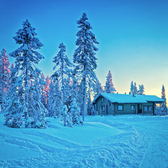 Cottage in snowy winter forest