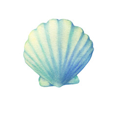 Illustrations of underwater life objects - blue sea shell, marine design. Watercolor hand drawn painting illustration isolated on white background.