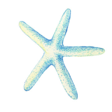 recommend clip art: Illustrations of underwater life objects - blue sea starfish, marine design. Watercolor hand drawn painting illustration isolated on white background.