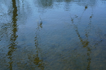 Fototapeta na wymiar River water with trees