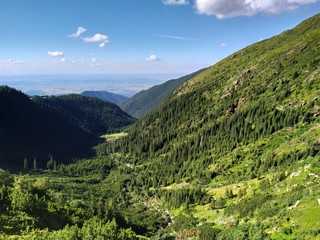 Obraz premium Mountains