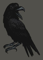 Fototapeta premium Three eyed raven. Occult bird illustration.