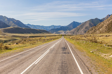 road to Altai Mountains, Altai region, Siberia, Russia.