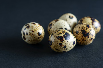 Quail spotted eggs closeup on the black background. Black texture, dark mode.