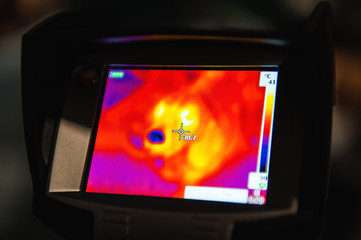 cold blue dog nose in a thermal imager