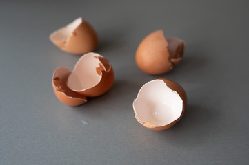 Broken brown chicken eggshell on gray table