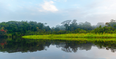 Panorama of the Amazon Rainforest at sunrise in mist and fog. The Amazon river basin comprise the countries of Brazil, Bolivia, Colombia, Ecuador, Guyana, Suriname, Peru and Venezuela. 