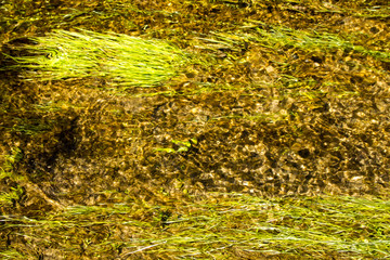 Grass should flow water