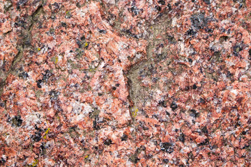 The texture of pink granite interspersed with moss in the area