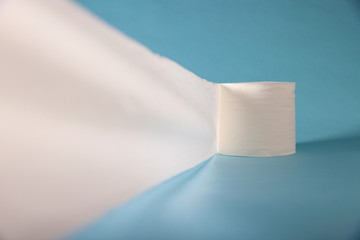 General view of toilet paper roll