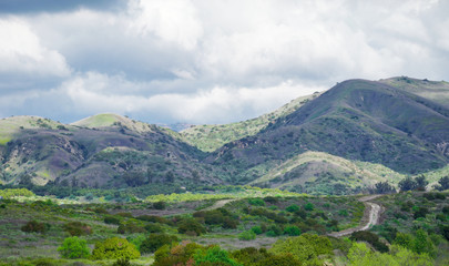 Obraz premium Green Desert Mountains