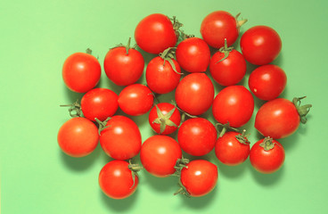tomatoes on a green background