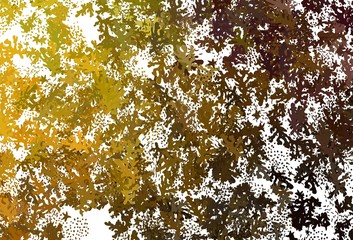 Dark Green, Yellow vector background with abstract shapes.