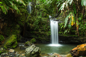 Juan Diego Falls, El Yunque, Puerto Rico