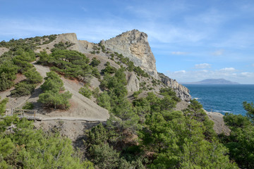 Reserved grove on slope of Koba-Kaya mountain, Crimea, Russia.