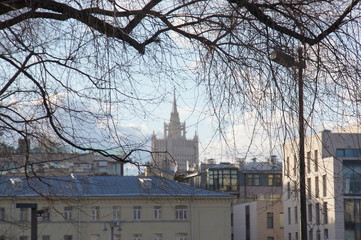 Москва город высотка весна дерево ветка 