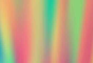 Light Gray vector modern elegant background.