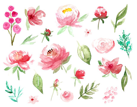 Watercolor loose style flowers and leaves set. Collection of isolated images of pink, red flowers, peony, rose and green leaves. For print, pattern, textile, wallpapers, invitations, cards and linens