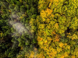 Autumn trees © Kamil Sztandera