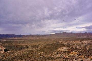 Spectacular landscape views in Joshua National Park
