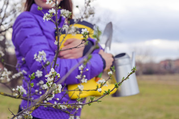 A girl in a purple jacket holds bright yellow rubber boots, a watering can, a spade in her hands. The flowering period of trees in the gardens. Soft focus. Details are out of focus. Copy space
