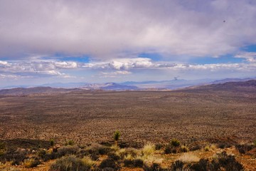 Spectacular landscape views in Joshua National Park