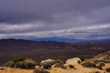 Spectacular landscape views in Joshua National Park