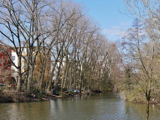 Obraz premium Bäume stehen am Kanal