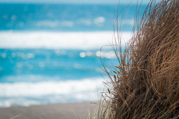  Grass and beach