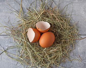 An egg with egg shells in a nest, on a gray background