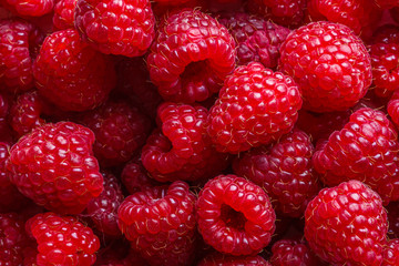 Juicy fresh natural raspberries on white acrylic background