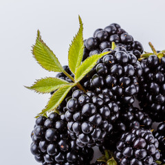 juicy blackberries on a white acrylic background