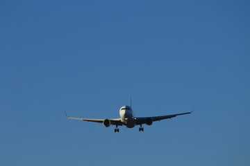 飛行機