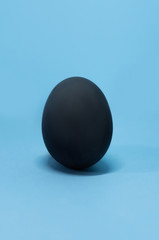 one black egg close-up on a plain blue background, Easter holidays concept
