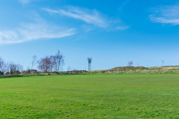 green field and blue sky